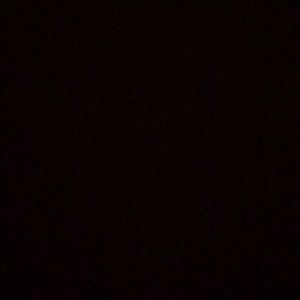 Alexander wang frumo wristlet trade